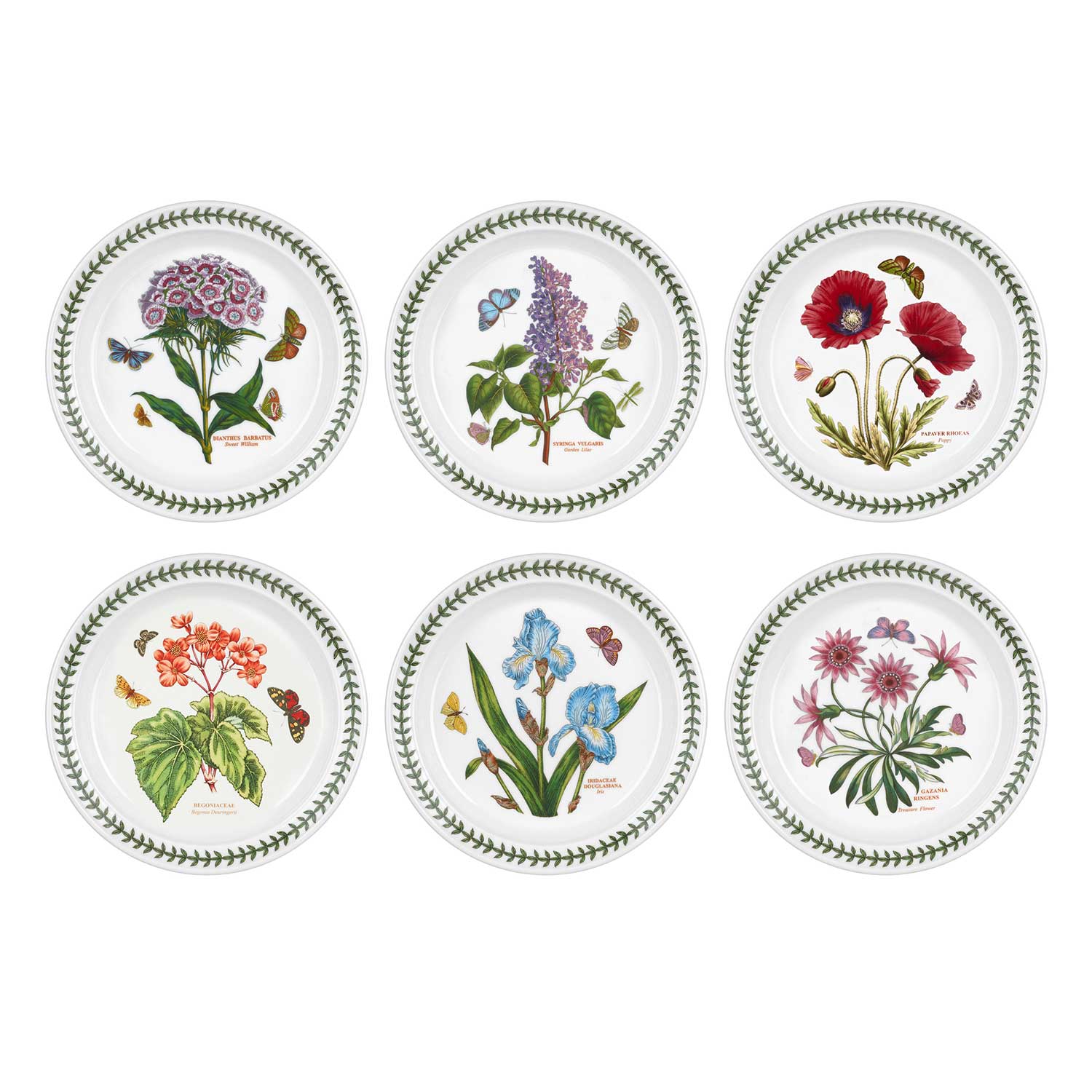 Botanic Garden 8.5 Inch Salad Plate Set of 6 (Assorted Motifs) image number null